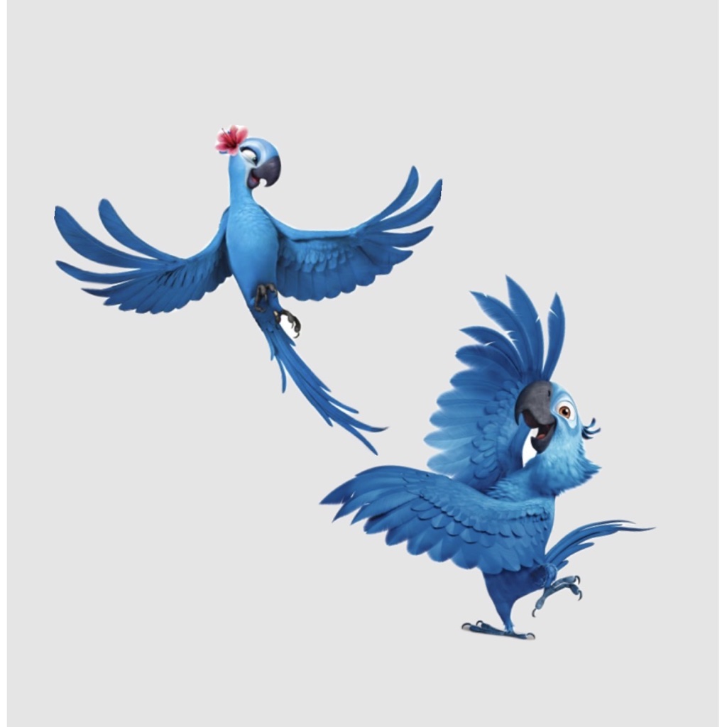 Rio