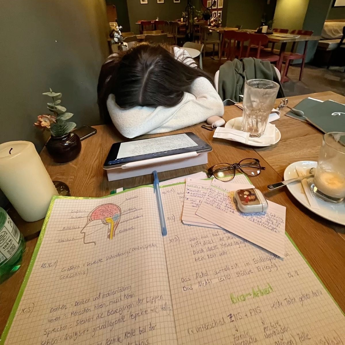 Was studying with @TeaL but I think she was tired.. I let her sleep
