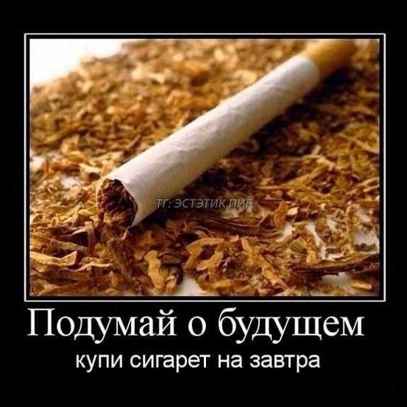 В Арктике сигарет нет вообще или только мне везёт?