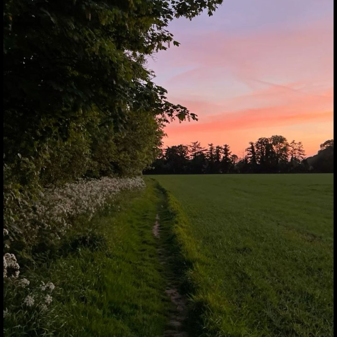 die natur ist so beruhigend, gibt mir kraft für alles, was kommt.