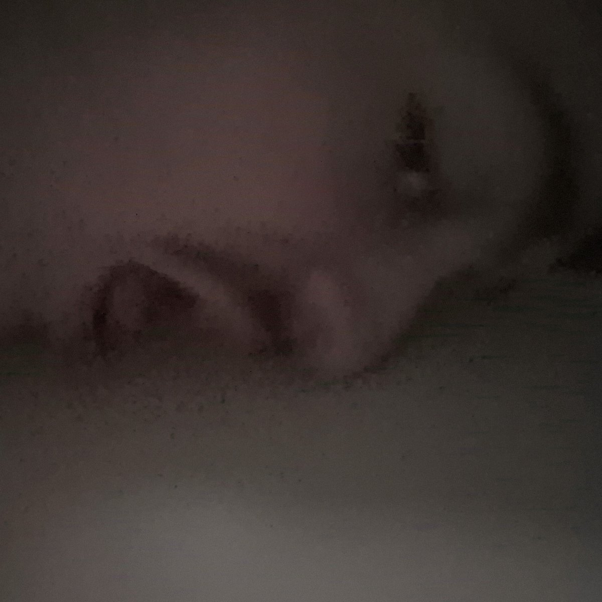 I've got a guy i own as a toy he licked the wall when I asked this is him in the photo
