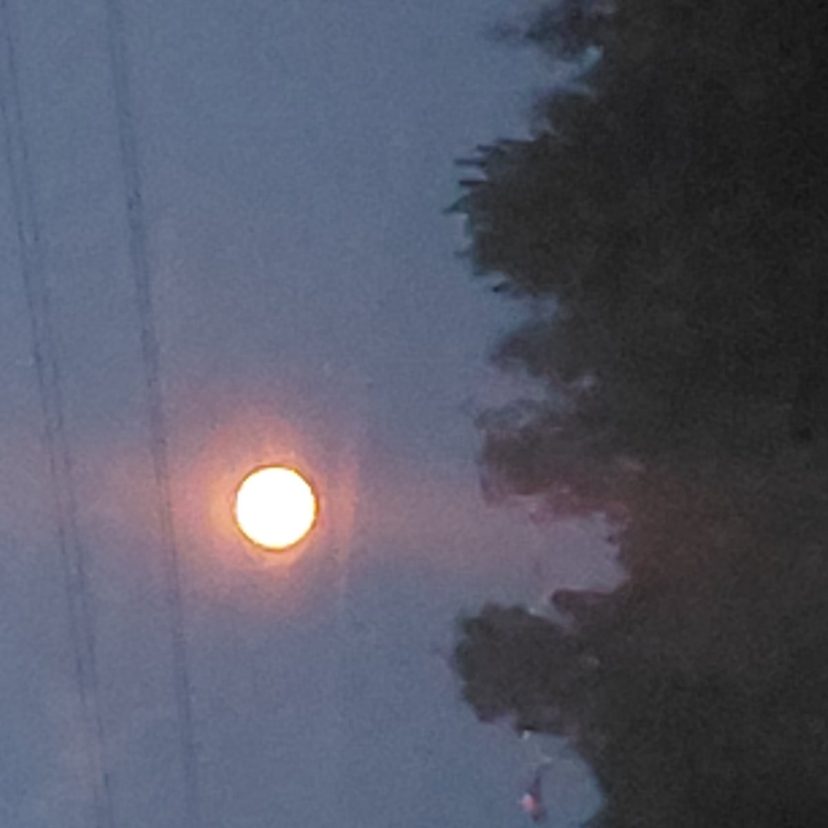 Nice moon in the sky.