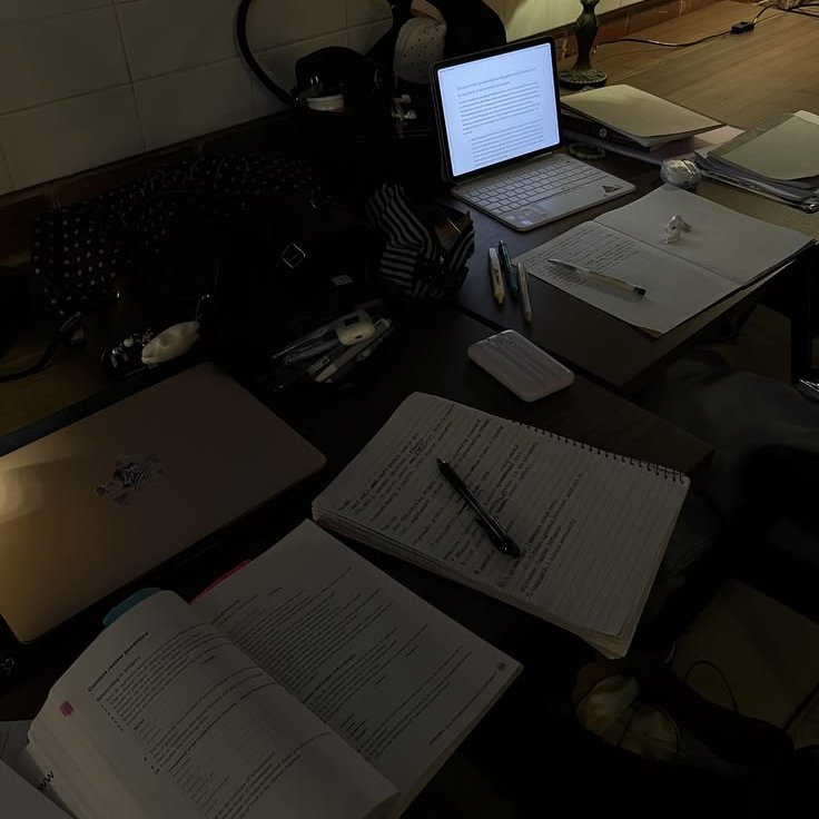 studying because murdering James Potter isn't an option.