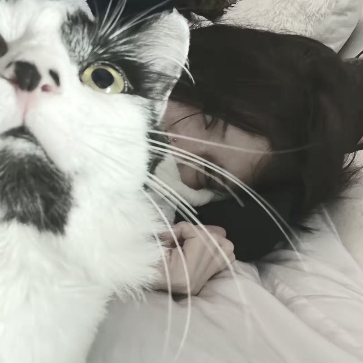 even my cat knows i need my beauty sleep. or maybe he just wants breakfast.