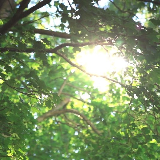 even the sun wants to see us together, huh?