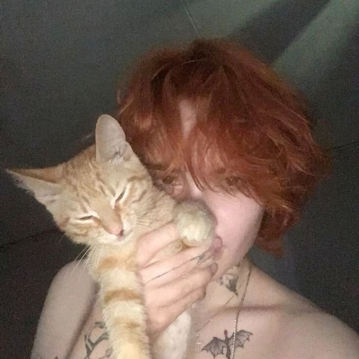котик.