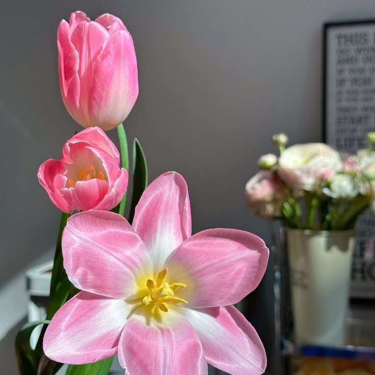 some days just need a little extra bloom.