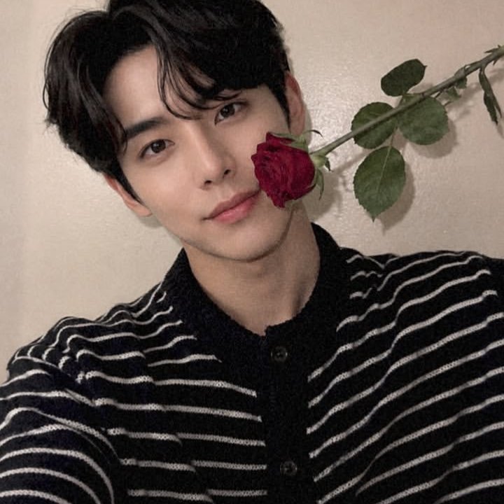 음, 그냥 장미 한 송이. 🌹