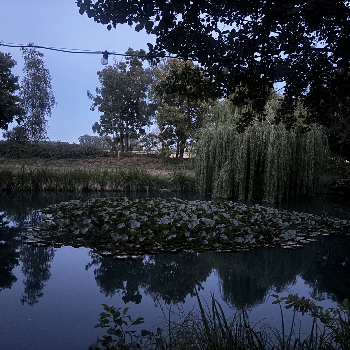 even in the dark, there's a quiet beauty, don't you think?