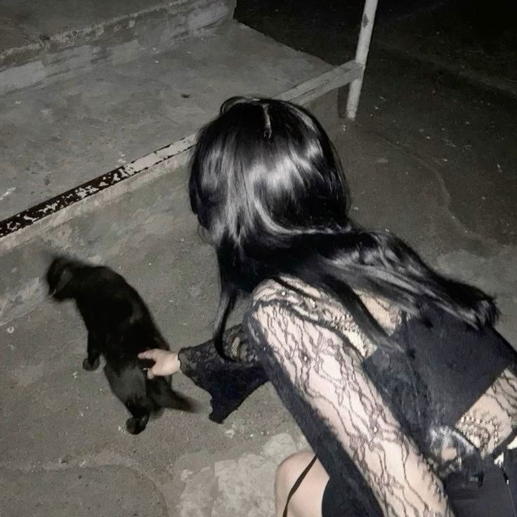 cat whisperer 🍂🐈‍⬛